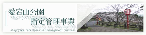 纬Ƥ̤߻ȶƱȹ 滳